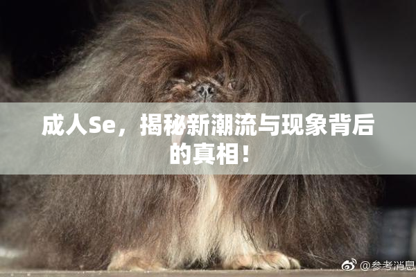 成人Se，揭秘新潮流与现象背后的真相！