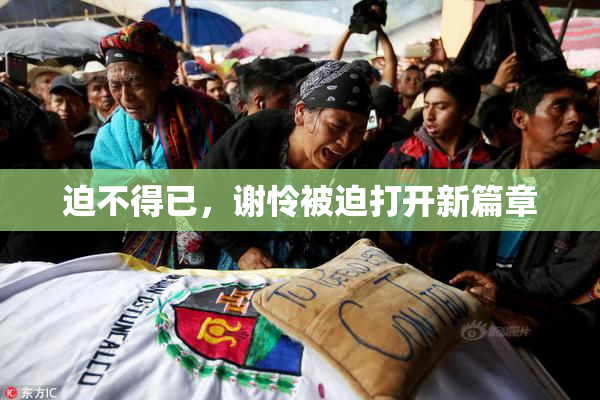 迫不得已，谢怜被迫打开新篇章