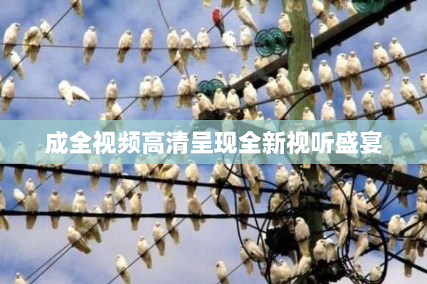 成全视频高清呈现全新视听盛宴