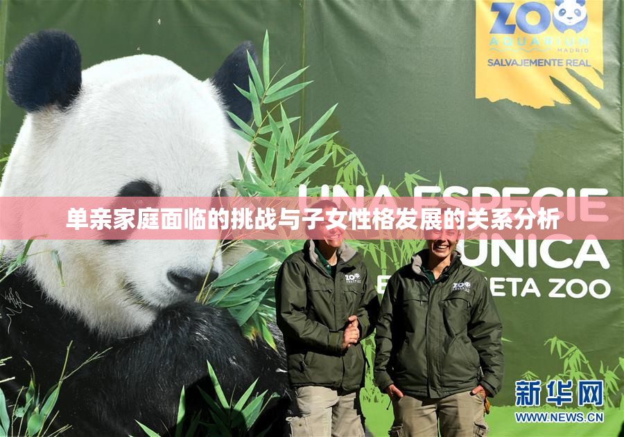 单亲家庭面临的挑战与子女性格发展的关系分析