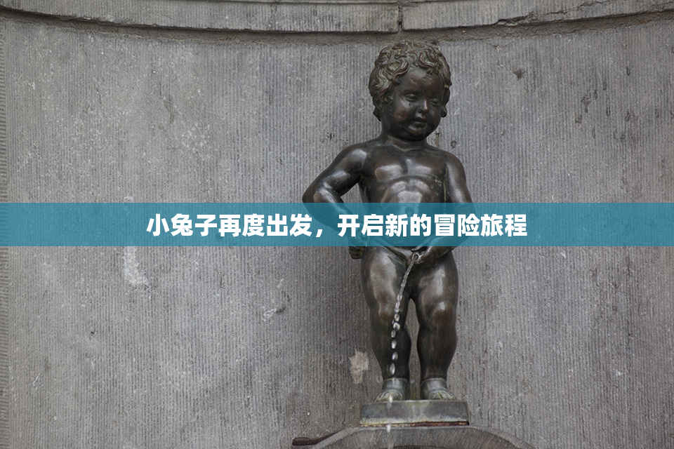 小兔子再度出发，开启新的冒险旅程