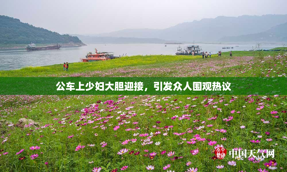 公车上少妇大胆迎接，引发众人围观热议