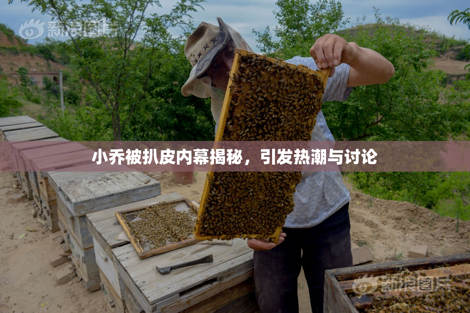 小乔被扒皮内幕揭秘，引发热潮与讨论