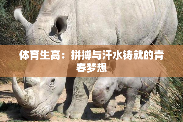体育生高：拼搏与汗水铸就的青春梦想