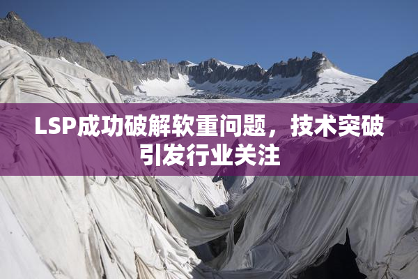 LSP成功破解软重问题，技术突破引发行业关注