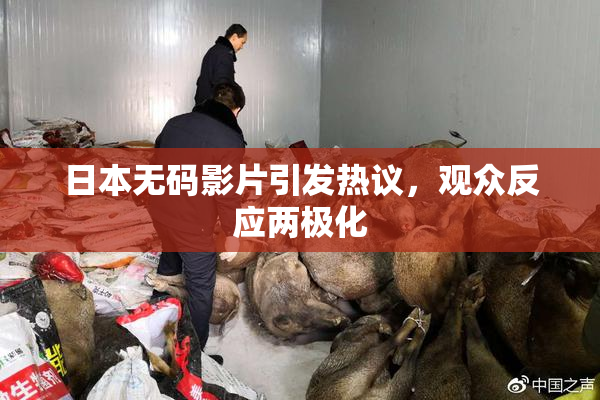 日本无码影片引发热议，观众反应两极化