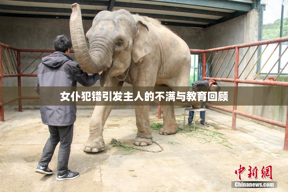 女仆犯错引发主人的不满与教育回顾