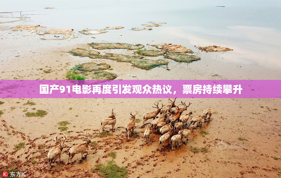 国产91电影再度引发观众热议，票房持续攀升