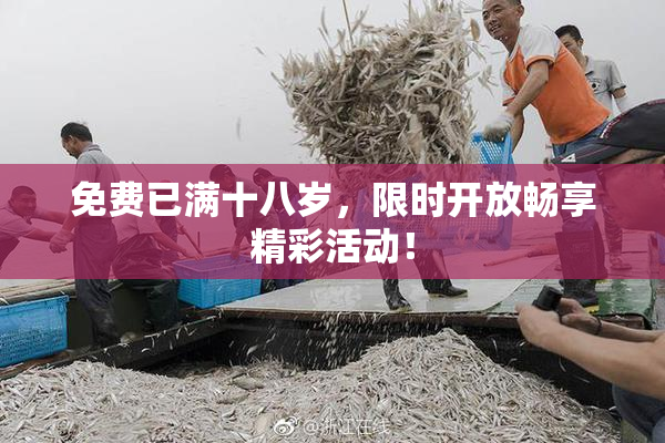 免费已满十八岁，限时开放畅享精彩活动！