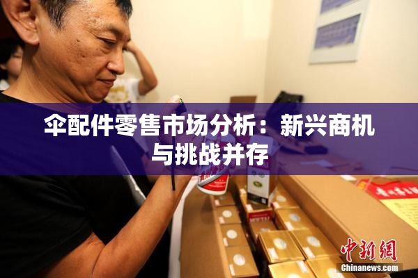 伞配件零售市场分析：新兴商机与挑战并存