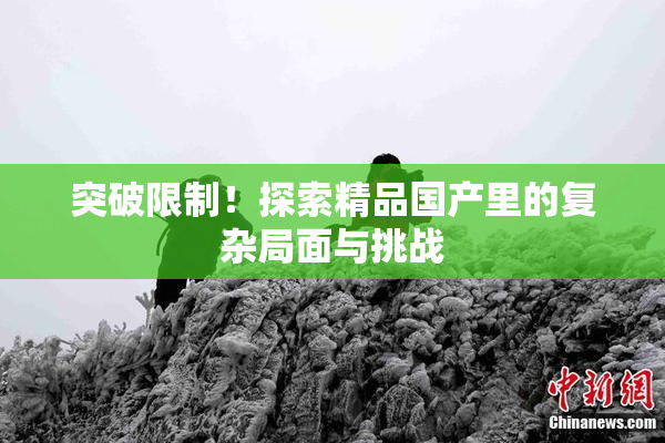 突破限制！探索精品国产里的复杂局面与挑战