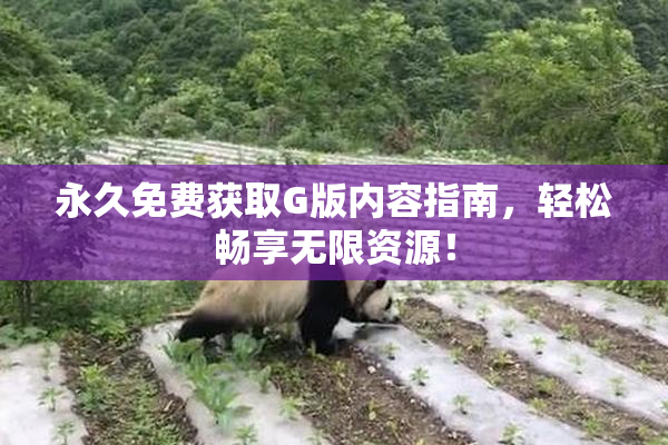 永久免费获取G版内容指南，轻松畅享无限资源！