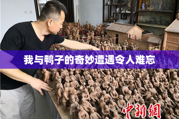 我与鸭子的奇妙遭遇令人难忘