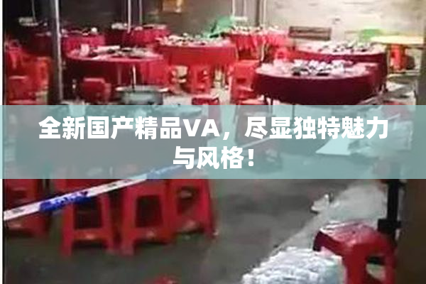 全新国产精品VA，尽显独特魅力与风格！
