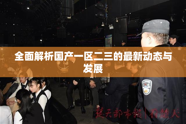 全面解析国产一区二三的最新动态与发展