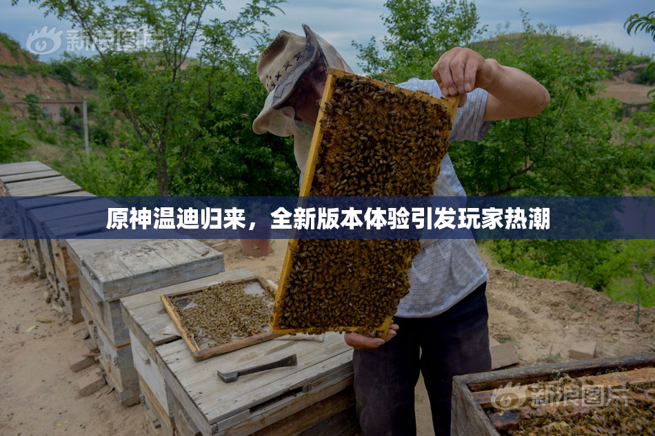 原神温迪归来，全新版本体验引发玩家热潮