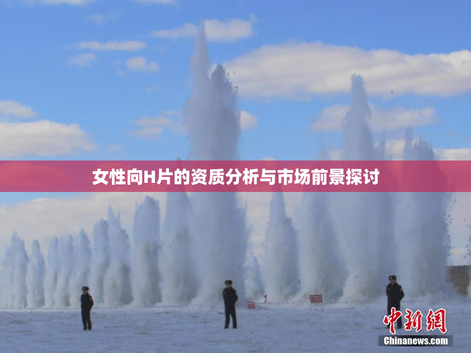 女性向H片的资质分析与市场前景探讨