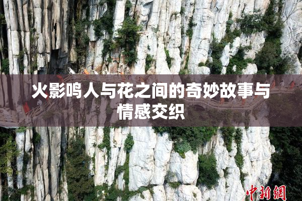 火影鸣人与花之间的奇妙故事与情感交织