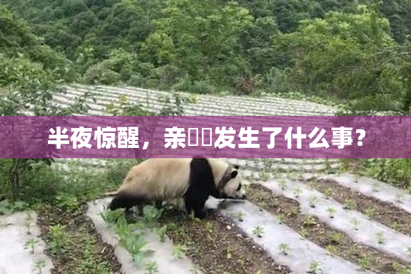 半夜惊醒，亲妺妺发生了什么事？