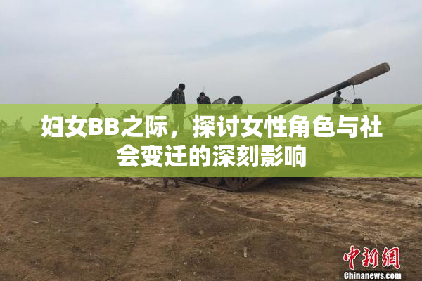 妇女BB之际，探讨女性角色与社会变迁的深刻影响