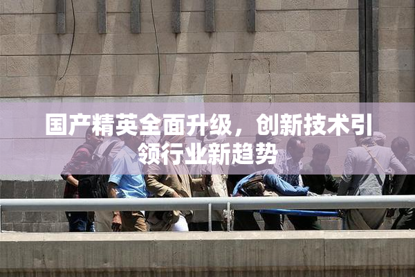国产精英全面升级，创新技术引领行业新趋势