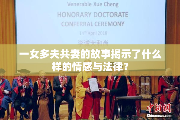 一女多夫共妻的故事揭示了什么样的情感与法律？