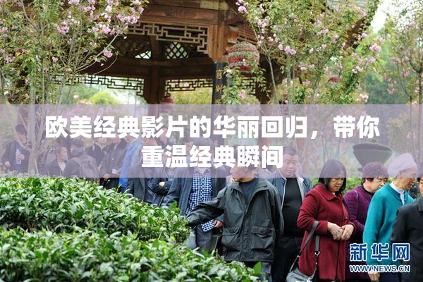 欧美经典影片的华丽回归，带你重温经典瞬间