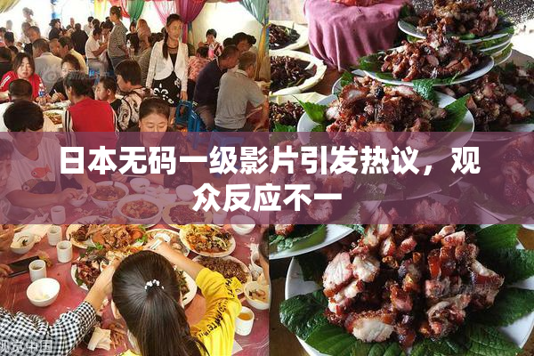 日本无码一级影片引发热议，观众反应不一