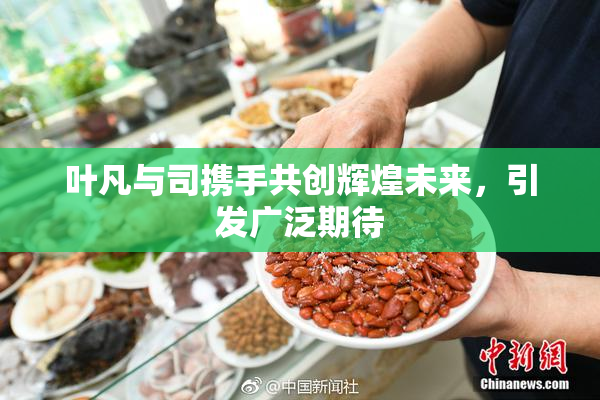 叶凡与司携手共创辉煌未来，引发广泛期待