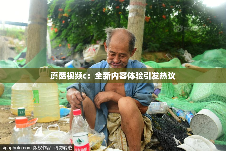 蘑菇视频c：全新内容体验引发热议