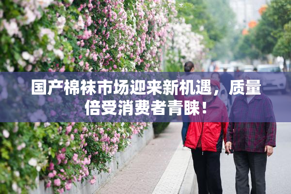国产棉袜市场迎来新机遇，质量倍受消费者青睐！