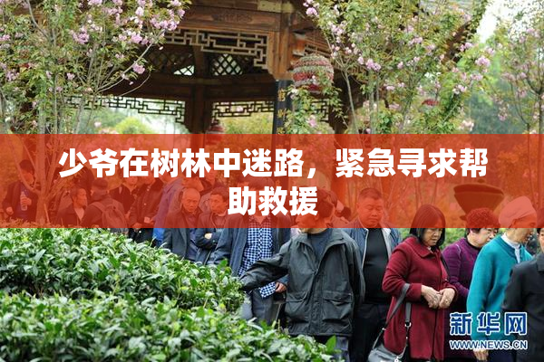 少爷在树林中迷路，紧急寻求帮助救援
