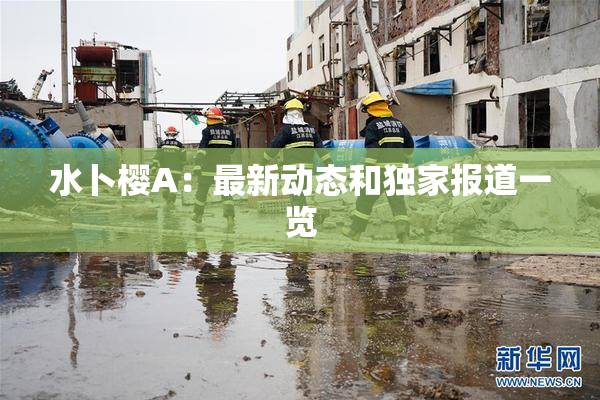 水卜樱A：最新动态和独家报道一览
