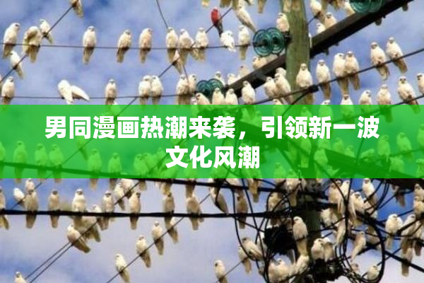男同漫画热潮来袭，引领新一波文化风潮