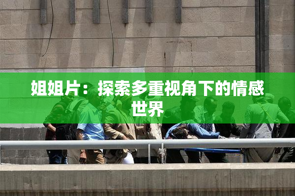 姐姐片：探索多重视角下的情感世界
