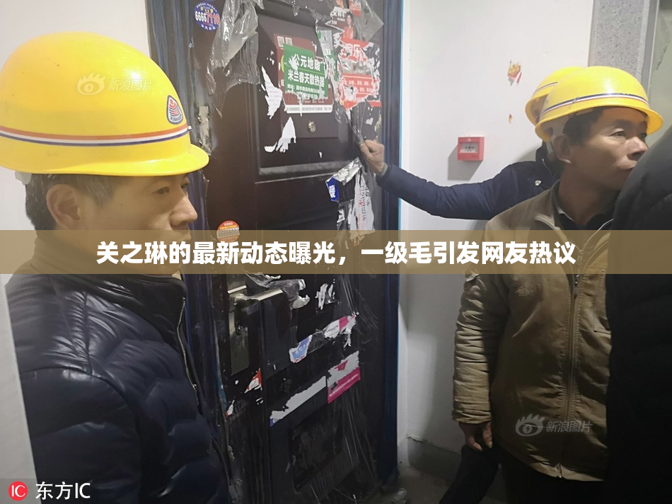 关之琳的最新动态曝光，一级毛引发网友热议