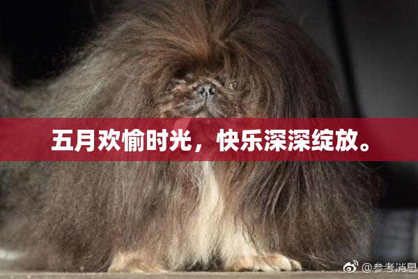 五月欢愉时光，快乐深深绽放。
