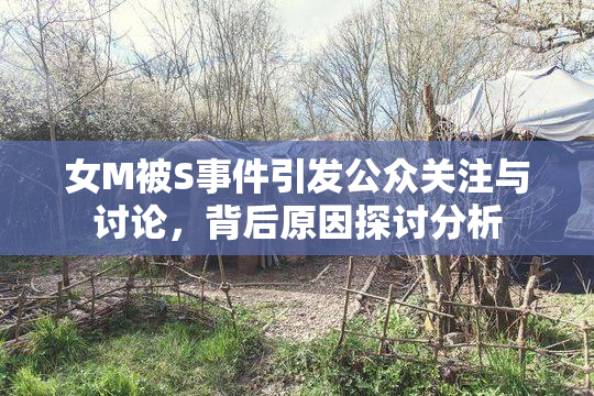 女M被S事件引发公众关注与讨论，背后原因探讨分析