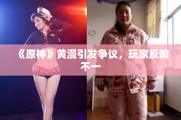 《原神》黄漫引发争议，玩家反响不一