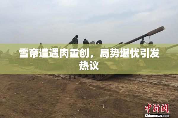 雪帝遭遇肉重创，局势堪忧引发热议