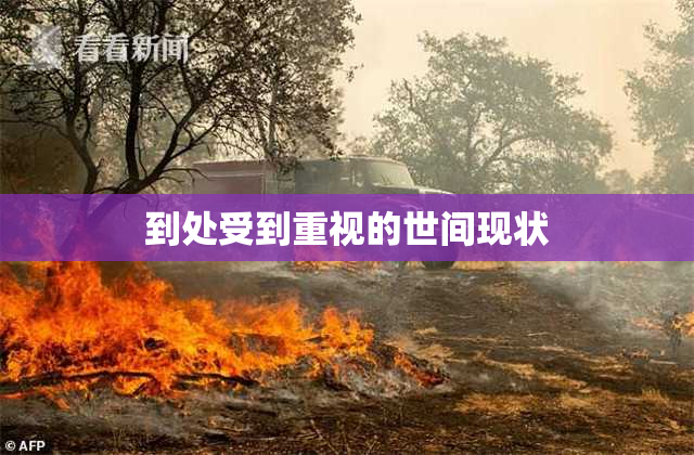 到处受到重视的世间现状
