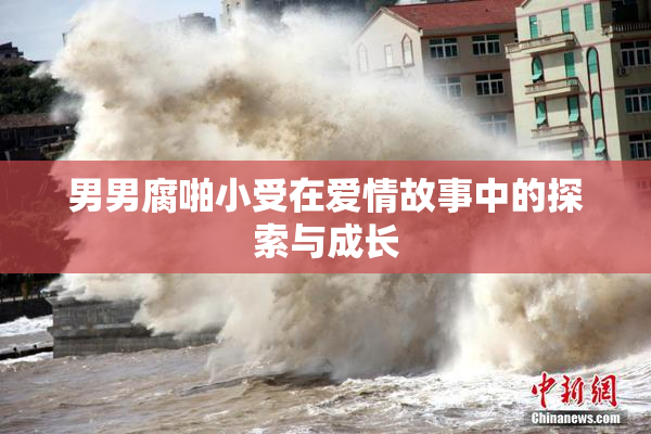 男男腐啪小受在爱情故事中的探索与成长