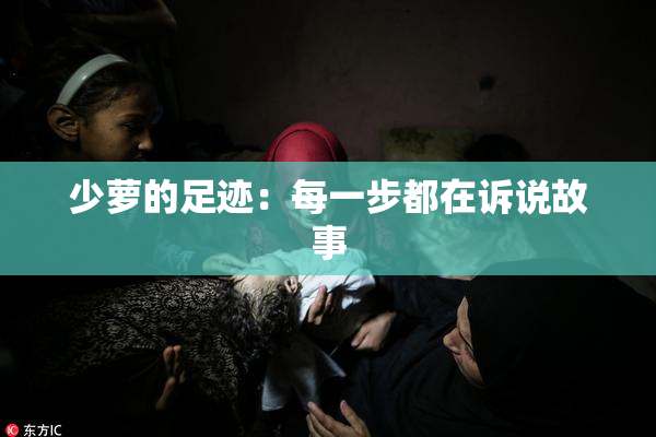 少萝的足迹：每一步都在诉说故事