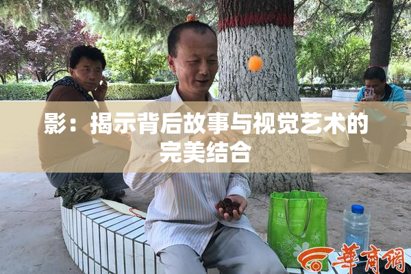 影：揭示背后故事与视觉艺术的完美结合