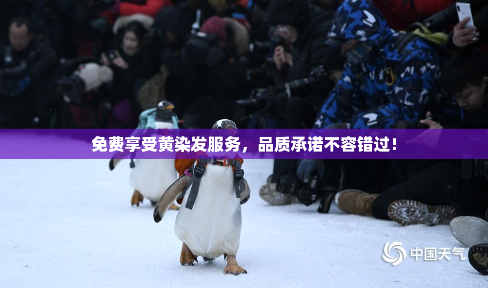 免费享受黄染发服务，品质承诺不容错过！