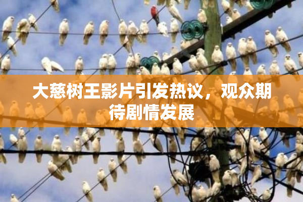 大慈树王影片引发热议，观众期待剧情发展