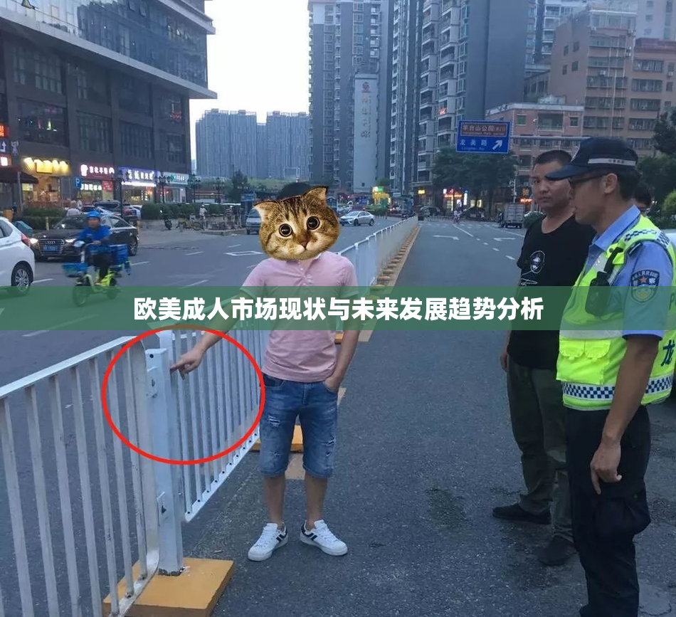 欧美成人市场现状与未来发展趋势分析