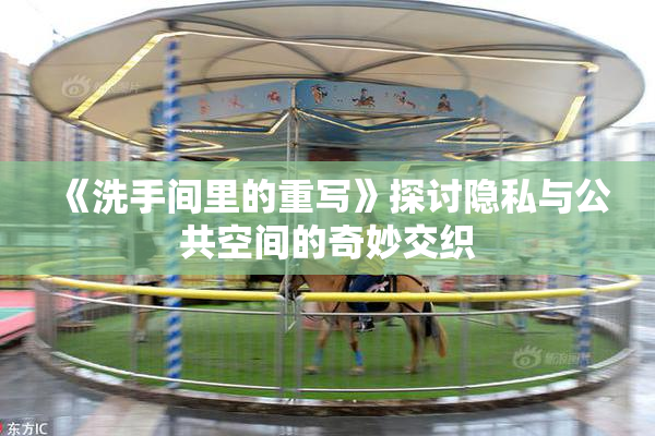 《洗手间里的重写》探讨隐私与公共空间的奇妙交织