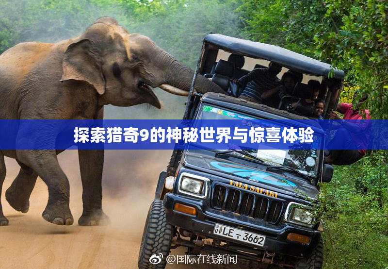 探索猎奇9的神秘世界与惊喜体验