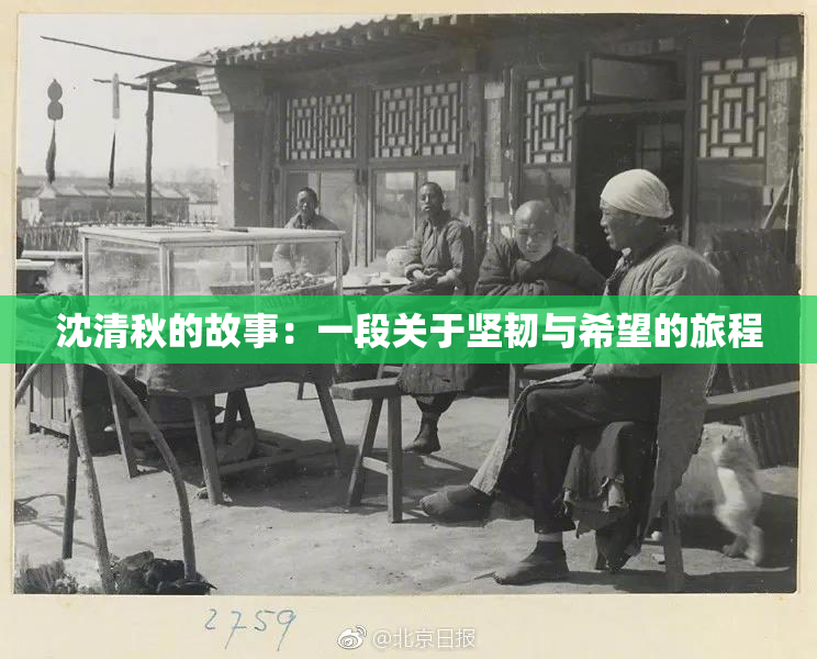 沈清秋的故事：一段关于坚韧与希望的旅程